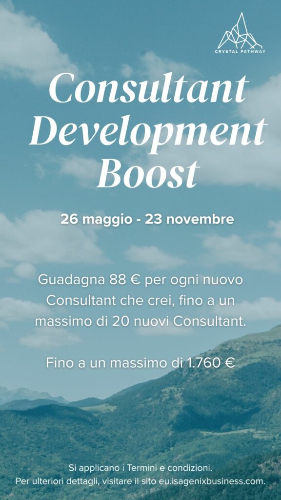 Consultant Development Boost – IT